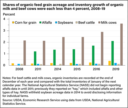 Bar chart showing the share of acreage growing organic feed grain and the share of inventory growth of organic beef cattle and dairy cows from 2008 to 2019.