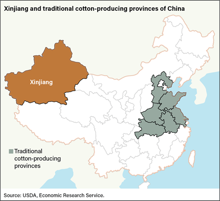 Map of China highlighting the Xinjiang provincial region to the west and traditional cotton-producing provinces along and near the coast.