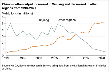 Line chart comparing cotton production in Xinjiang with other China regions from 1990 to 2021.