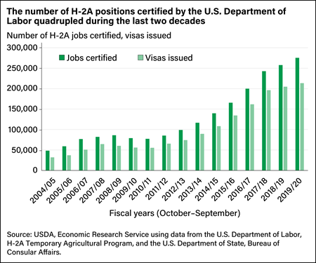 Bar chart comparing the number of H-2A jobs certified and the number of H-2A visas issued from marketing years 2004/05 to 2019/20.