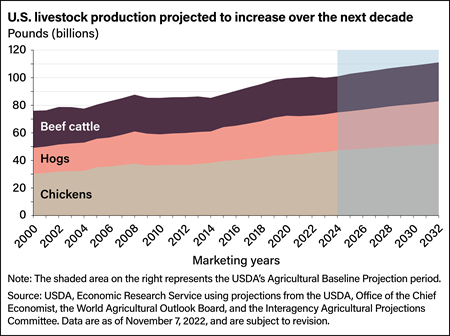 Stacked line chart showing U.S. production and projected production of beef cattle, hogs, and chickens for marketing years 2000 to 2032.