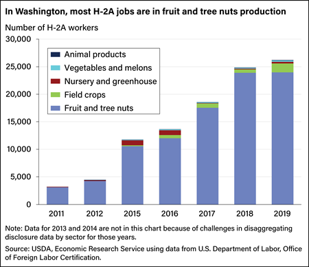 Bar chart showing numbers of H-2A workers in Washington in animal products, vegetables and melons, nursery and greenhouse, field crops, and fruit and tree nuts.