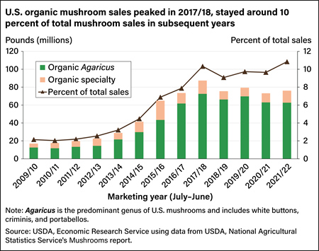 Bar chart showing U.S. organic mushroom sales in millions of pounds and percent of total sales between marketing years 2009 and 2022.