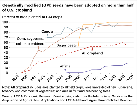 Line chart showing percent of area planted to genetically modified crops between 1994 and 2020.