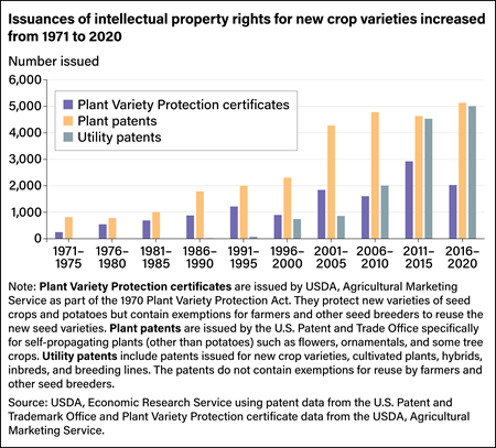 Bar chart showing number of Plant Variety Protection certificates, plant patents, and utility patents issued between 1971 and 2020.
