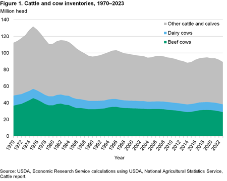 Area chart showing the trends in cattle and cow inventories from 1970–2023