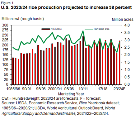 Line chart from marketing year 1885/86 to 2023/24 of U.S. harvested rice area in million hundredweight rough basis and bar chart from 1985/86 to 2023/24 of U.S. rice production in million hundred weight rough basis.