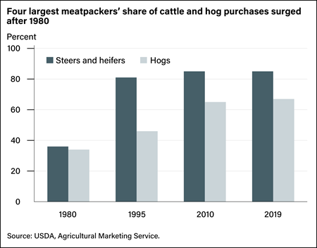 Bar chart showing shares of the four largest U.S. meatpackers’ cattle and hog purchases in 1980, 1995, 2010, and 2019.