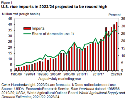 Bar chart showing imports in million hundredweight rough basis for the marketing years 1985/86 through 2023/24 and line chart showing the share of domestice use rough basis for the marketing years 1985/86 through 2023/24