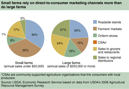 Small farms rely on direct-to-consumer marketing channels more than do large farms