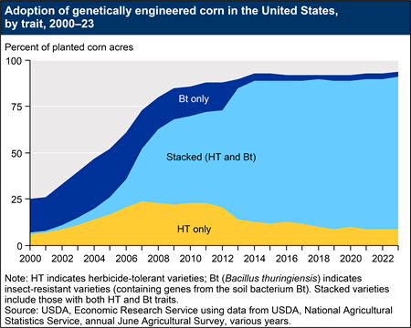 An area chart shows the adoption of genetically engineered corn varieties from 2000 to 2023. HT indicates herbicide-tolerant varieties; Bt (Bacillus thuringiensis) indicates insect-resistant varieties (containing genes from the soil bacterium Bt).