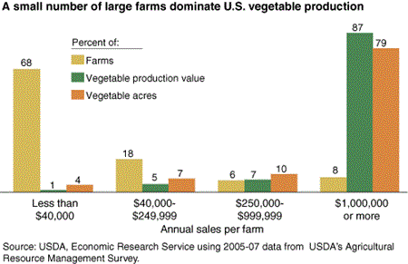 A small number of large farms dominate vegetable production