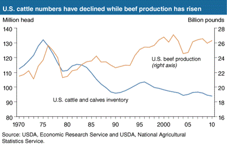 U.S. cattle numbers have declined while beef production has risen