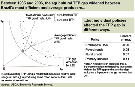 Over 1985-2006, the agricultural TFP gap widened between Brazil's most efficient and average producers...