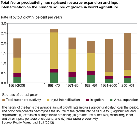 Total factor productivity has replaced resource expansion and input intensification as the primary source of growth in world agriculture