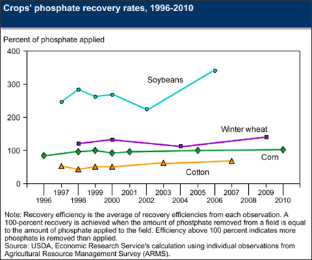 Crops' phosphate recovery rates, 1996-2010