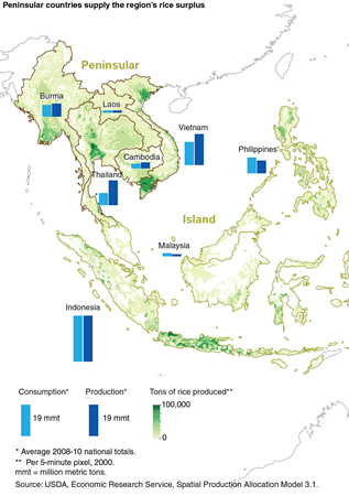 Peninsular countries supply the region's rice surplus