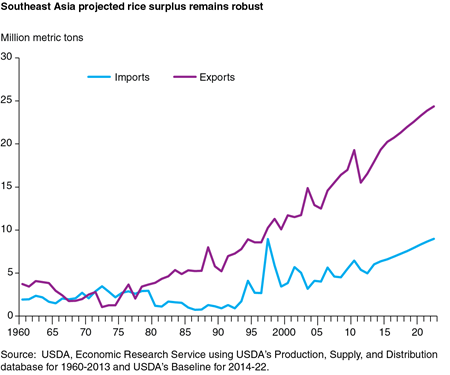 Southeast Asia projected rice surplus remains robust
