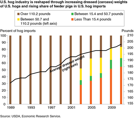 U.S. hog industry is reshaped through increasing dressed (carcass) weights of U.S. hogs and rising share of feeder pigs in U.S. hog imports