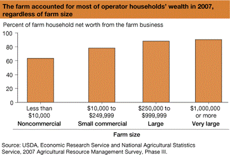 The farm accounted for most of operator households' wealth in 2007, regardless of farm size