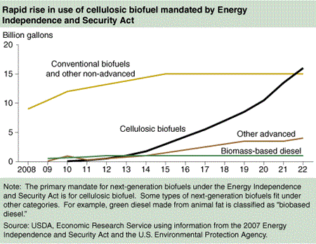 Rapid rise in use of cellulosic biofuel mandated by Energy Independence and Security Act