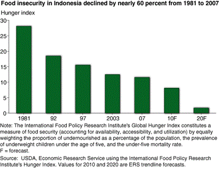 Food insecurity in Indonesia declined by nearly 60 percent from 1981 to 2007