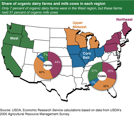 Share of organic dairy farms and milk cows in each region