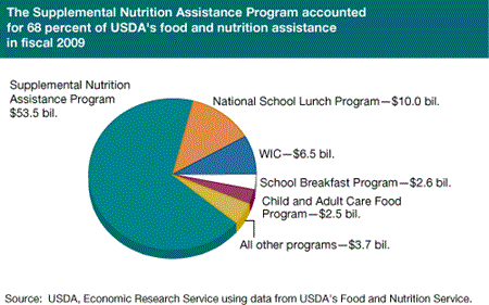 The Supplemental Nutrition Assistance Program accounted for 68 percent of USDA's food and nutrition assistance in fiscal 2009