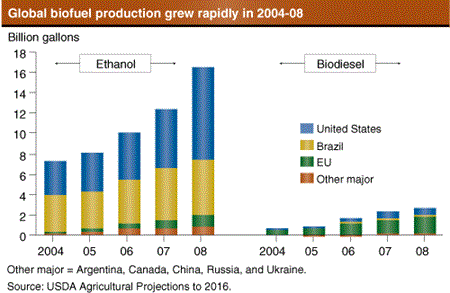 Global biofuel production grew rapidly in 2004-2008