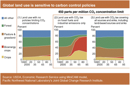 Global land use is sensitive to carbon control policies