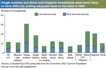 Single mothers and Black and Hispanic households were more likely to have difficulty putting adequate food on the table in 2007