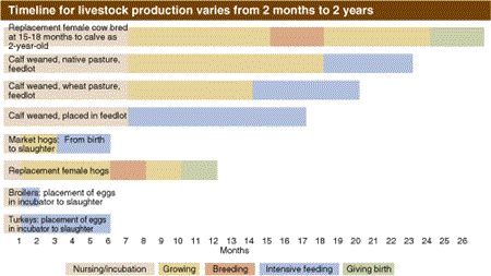 Timeline for livestock production varies from 2 months to 2 years