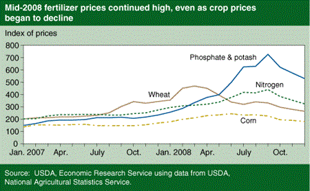 Mid-2008 fertilizer prices continued high, even as crop prices began to decline