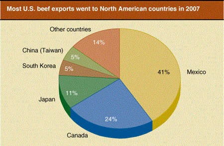 Most U.S. beef exports went to North American countries in 2007