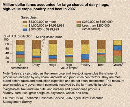 Million-dollar farms accounted for large shares of dairy, hogs, high-value crops,poultry,and beef in 2007
