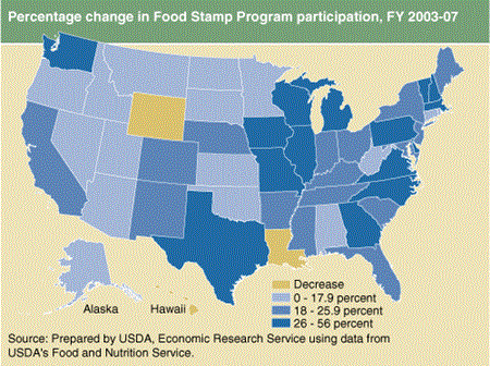 Percentage change in Food Stamp Program participation, FY 2003-07