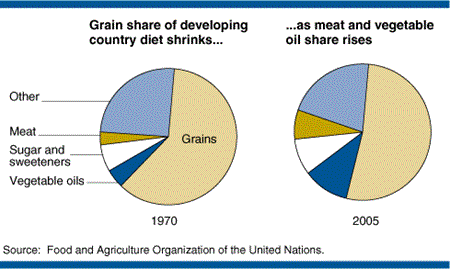 Grain share of developing country diet shrinks..., as meat and vegetable oil share rises