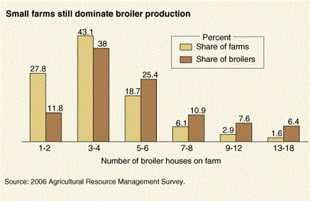 Small farms still dominate broiler production