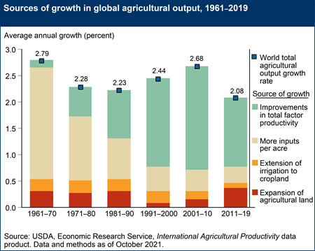 Sources of growth in global agricultural output, 1961-2019