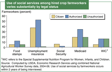 Use of social services among hired crop farmworkers varies substantially by legal status