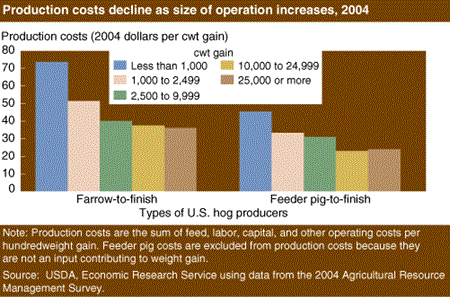 Production costs decline as size of operation increases, 2004