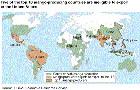 World map showing that 5 of the top 10 mango-producing countries are ineligible to export to the U.S. The 5 ineligible countries are Nigeria, Egypt, Pakistan, China, and Indonesia