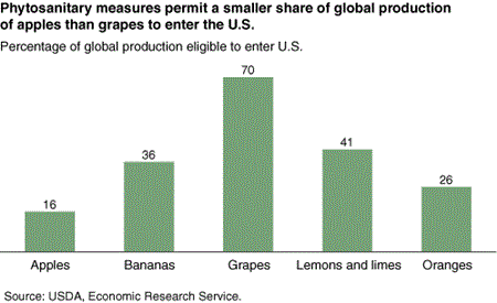Phytosanitary measures permit a smaller share of global production of apples than grapes to enter the U.S.