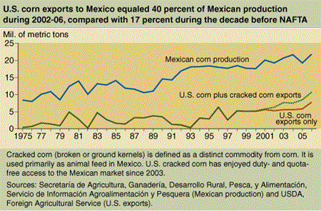 U.S. corn exports to Mexico equaled 40 percent of Mexican production during 2002-06, comapred with 17 percent during the decade before NAFTA