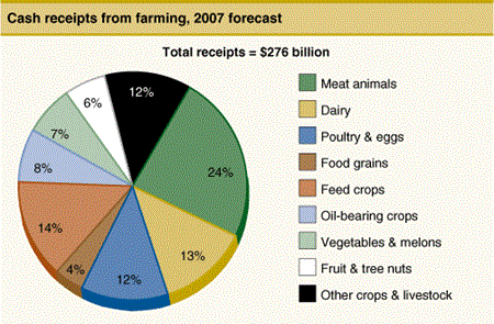Cash receipts from farming, 2007 forecast