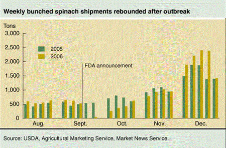 Weekly bunched spinach shipments rebounded after outbreak.