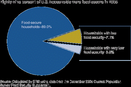 Eighty-nine percent of U.S. households were food secure in 2005.