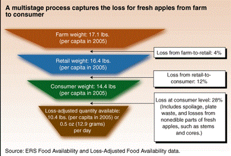 A multistage process captures the loss for fresh apples from farm to consumer.