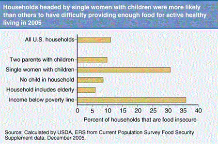 Households headed by single women with children were more likely than others to have difficulty providing enough food for active healthy living in 2005.