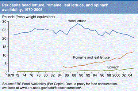 Per capita head lettuce, romaine, leaf lettuce, and spinach availability, 1970-2005.